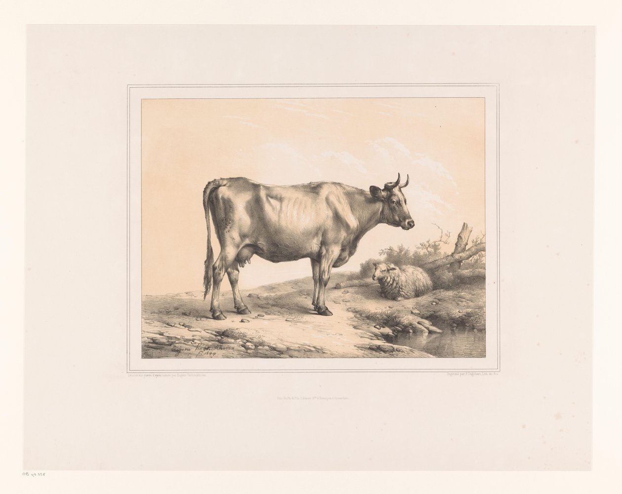 Kuh und Schaf in einer Landschaft von Eugène Verboeckhoven