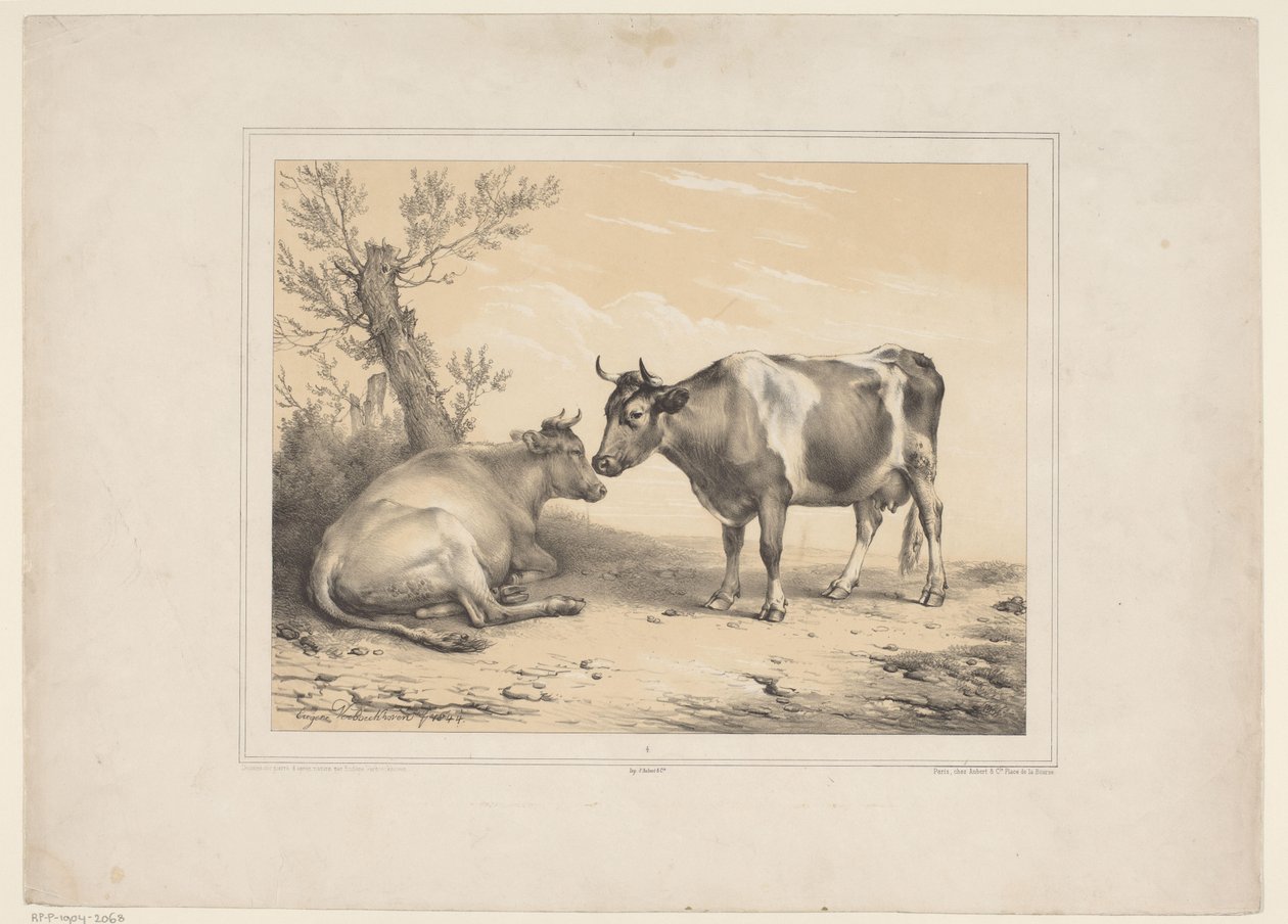 Zwei Kühe (Diverse zahme Tiere) (Treize sujets d