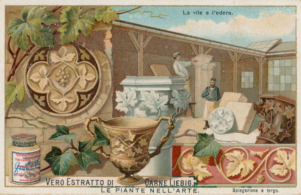 Pflanzen in der Kunst, Liebig-Karte, frühes 20. Jahrhundert von European School