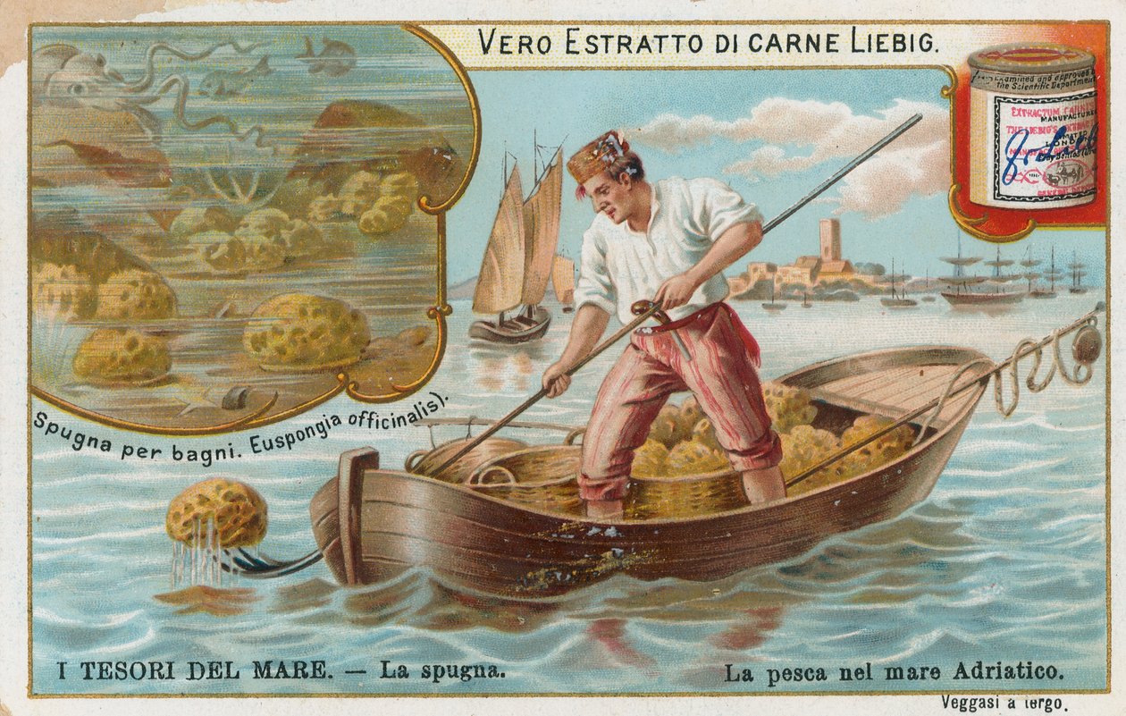 Schätze des Meeres, Liebig-Karte, frühes 20. Jahrhundert von European School