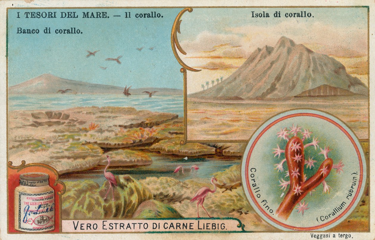 Schätze des Meeres, Liebig-Karte, frühes 20. Jahrhundert von European School