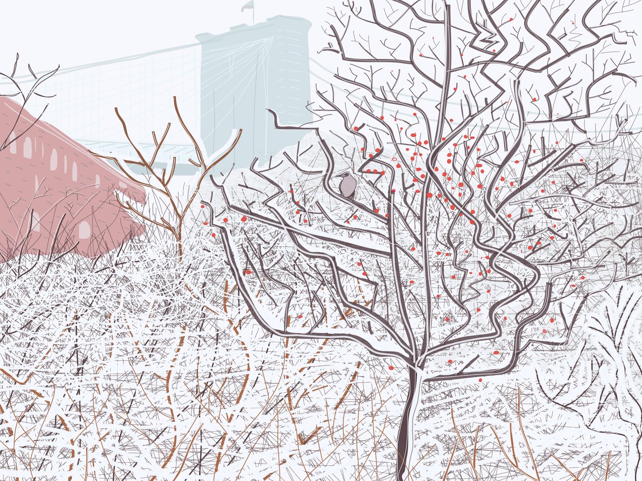 Vogel im Schnee, Brooklyn Bridge Park von Evan Sklar