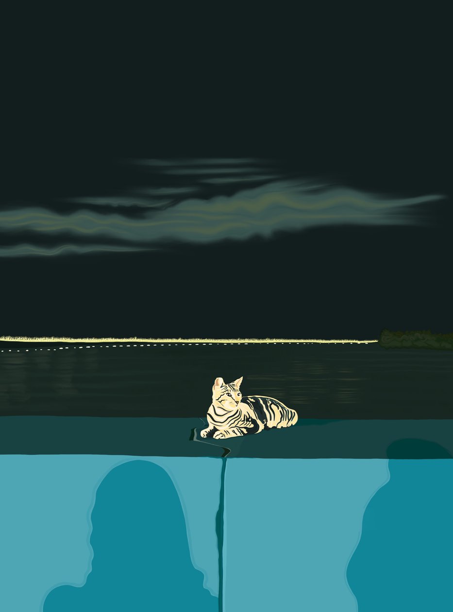 Katze auf der Mauer, Panama City, ca. 2020-24 von Evan Sklar