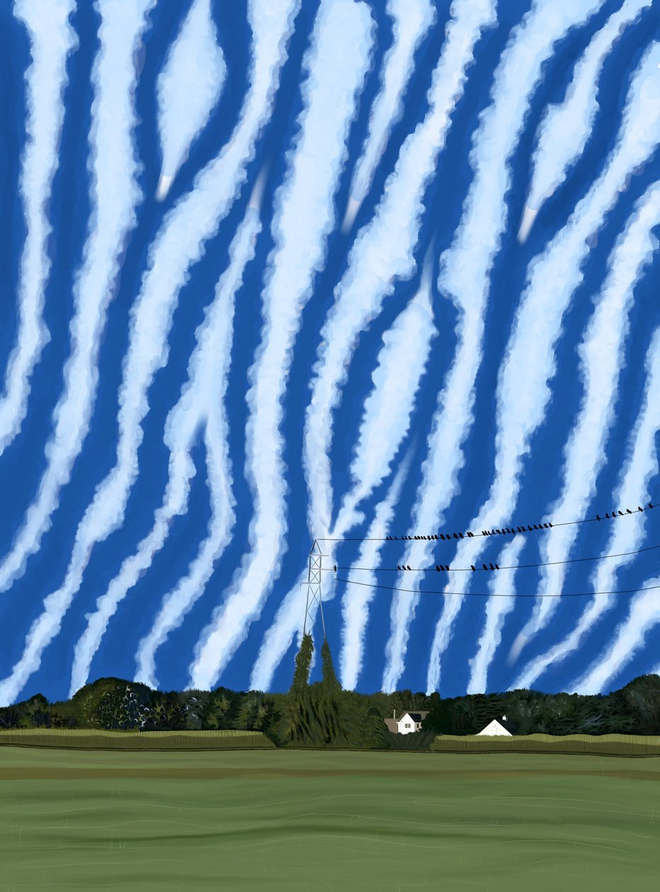 Feld und Drähte, North Fork, Long Island von Evan Sklar