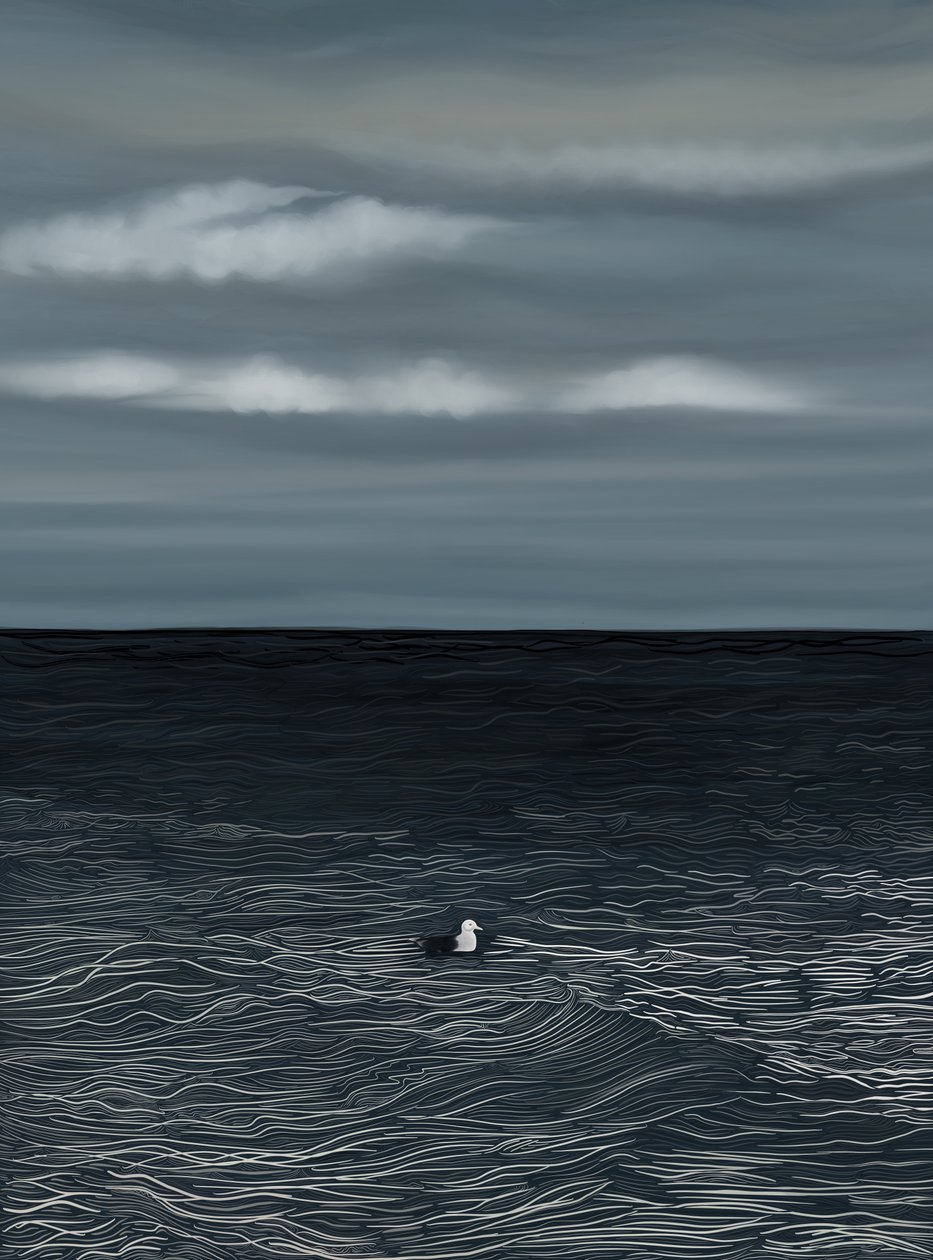Möwe auf Wasser und stürmischer Himmel von Evan Sklar