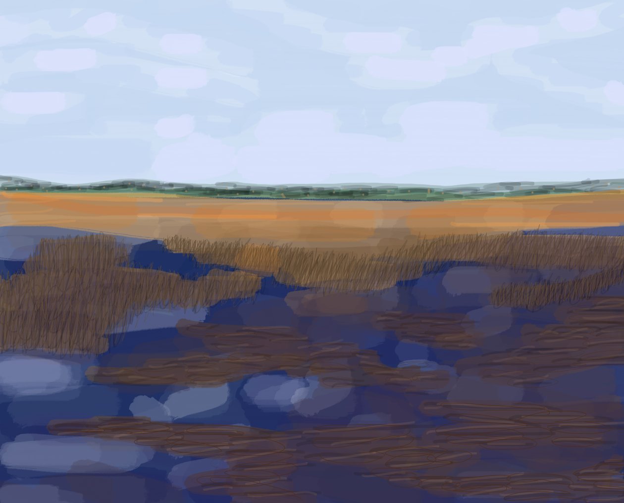 Low Country, 2016 von Evan Sklar