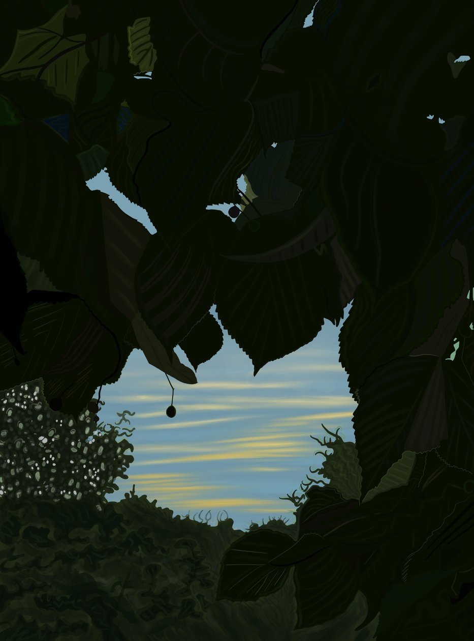 Morgenhimmel durch Blätter, 2025 von Evan Sklar