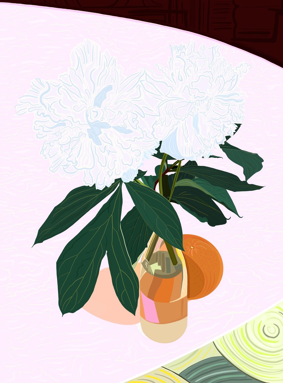 Pfingstrose und Grapefruit von Evan Sklar