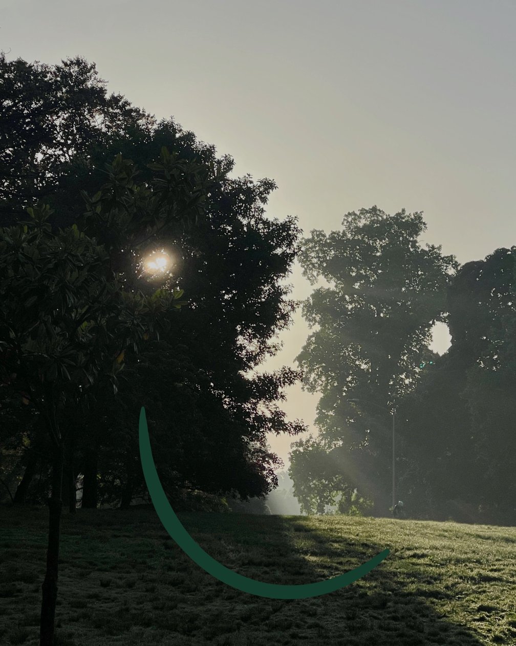 Lächelnder Sonnenaufgang von Evan Sklar