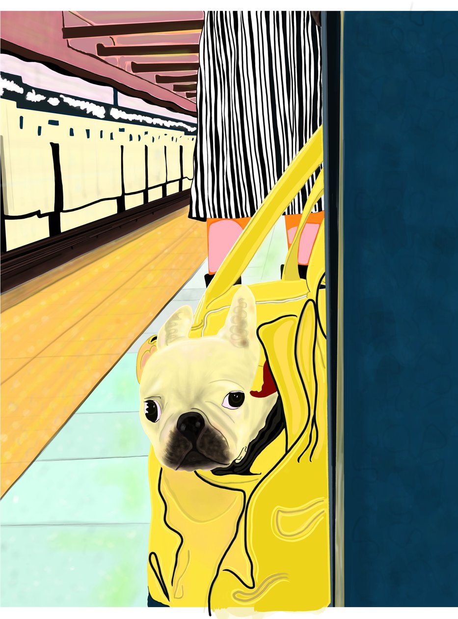 U-Bahn-Pendler mit Hund in Tasche, Brooklyn von Evan Sklar