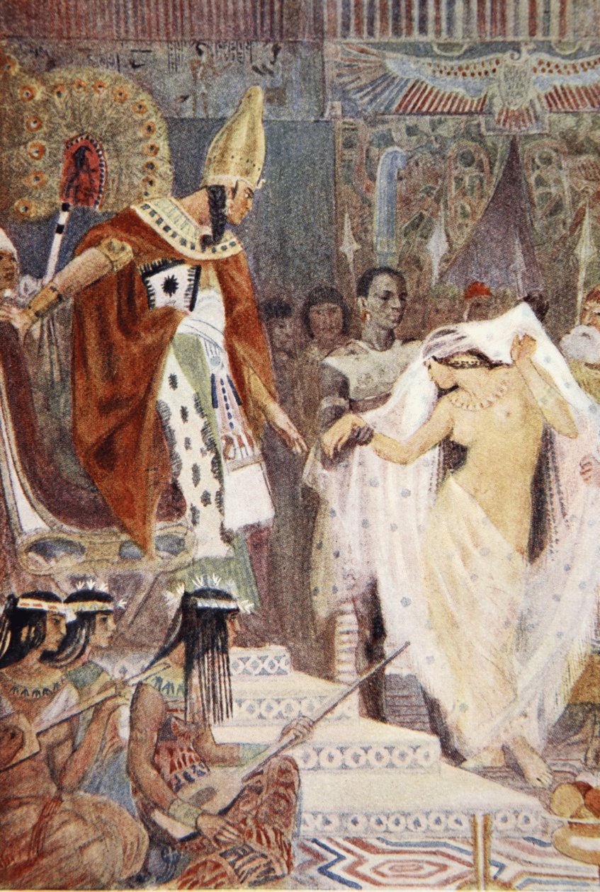 Illustration aus 