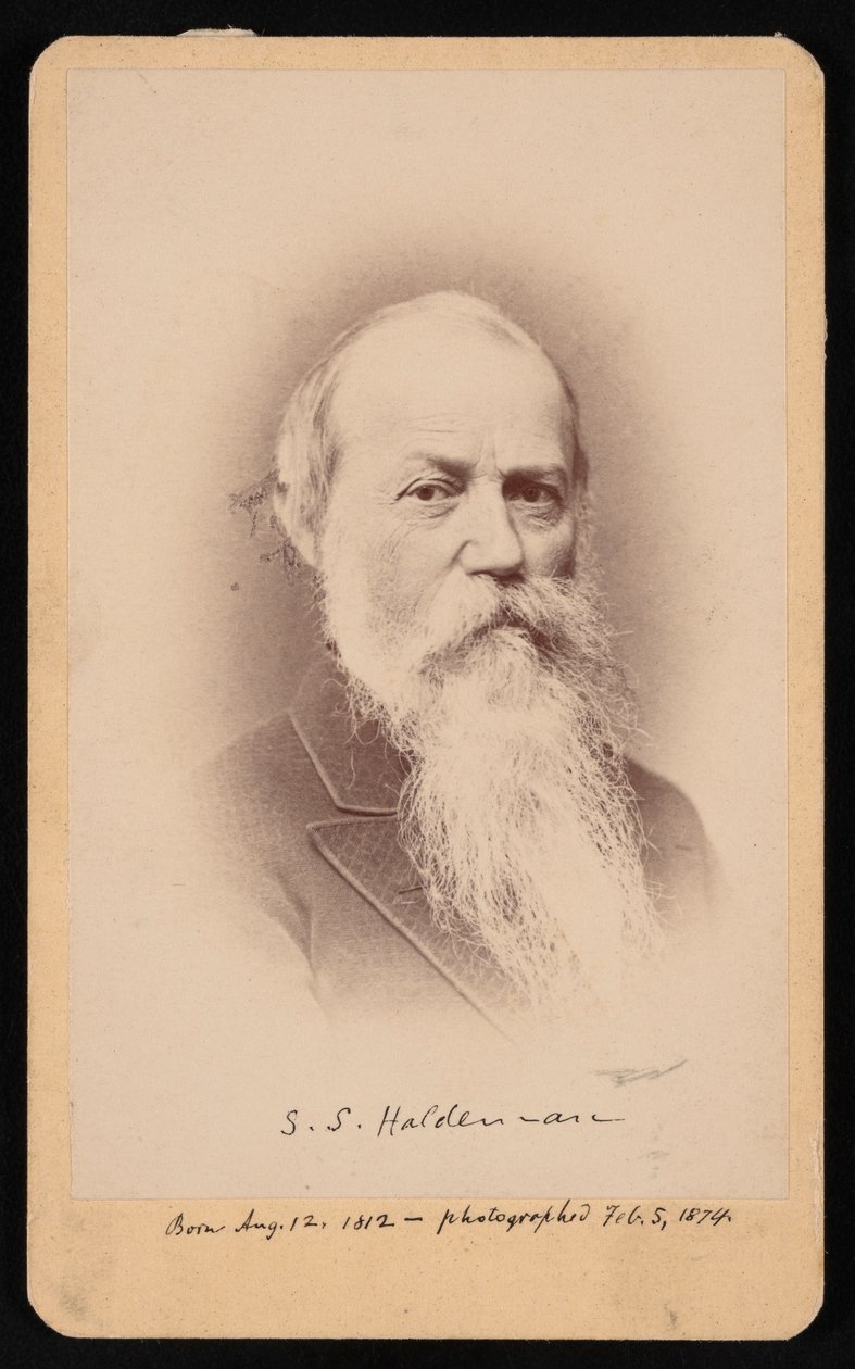 Porträt von Samuel Stehman Haldeman 1812-1880, 5. Februar 1874 von FA Wenderoth and Co