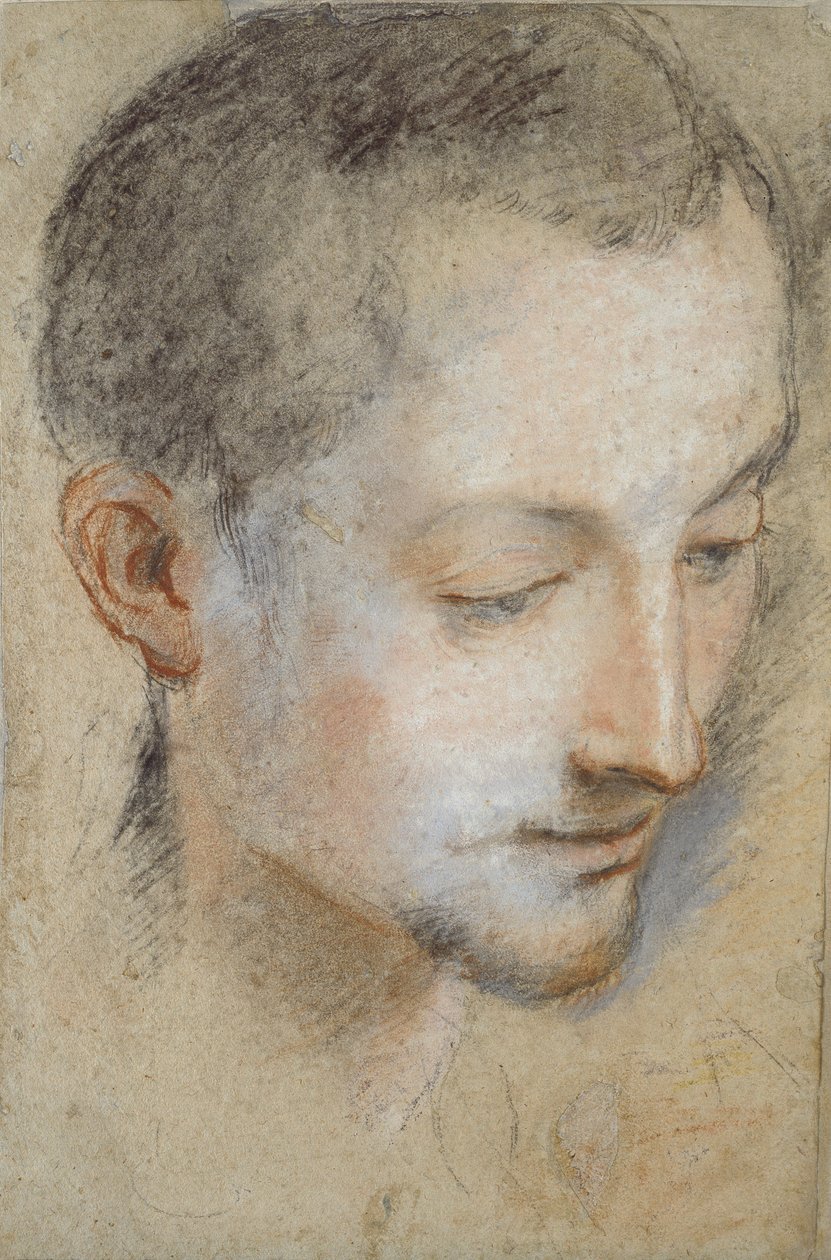 Studie eines jungen Mannes Kopf, spätes 16. Jahrhundert von Federico Barocci