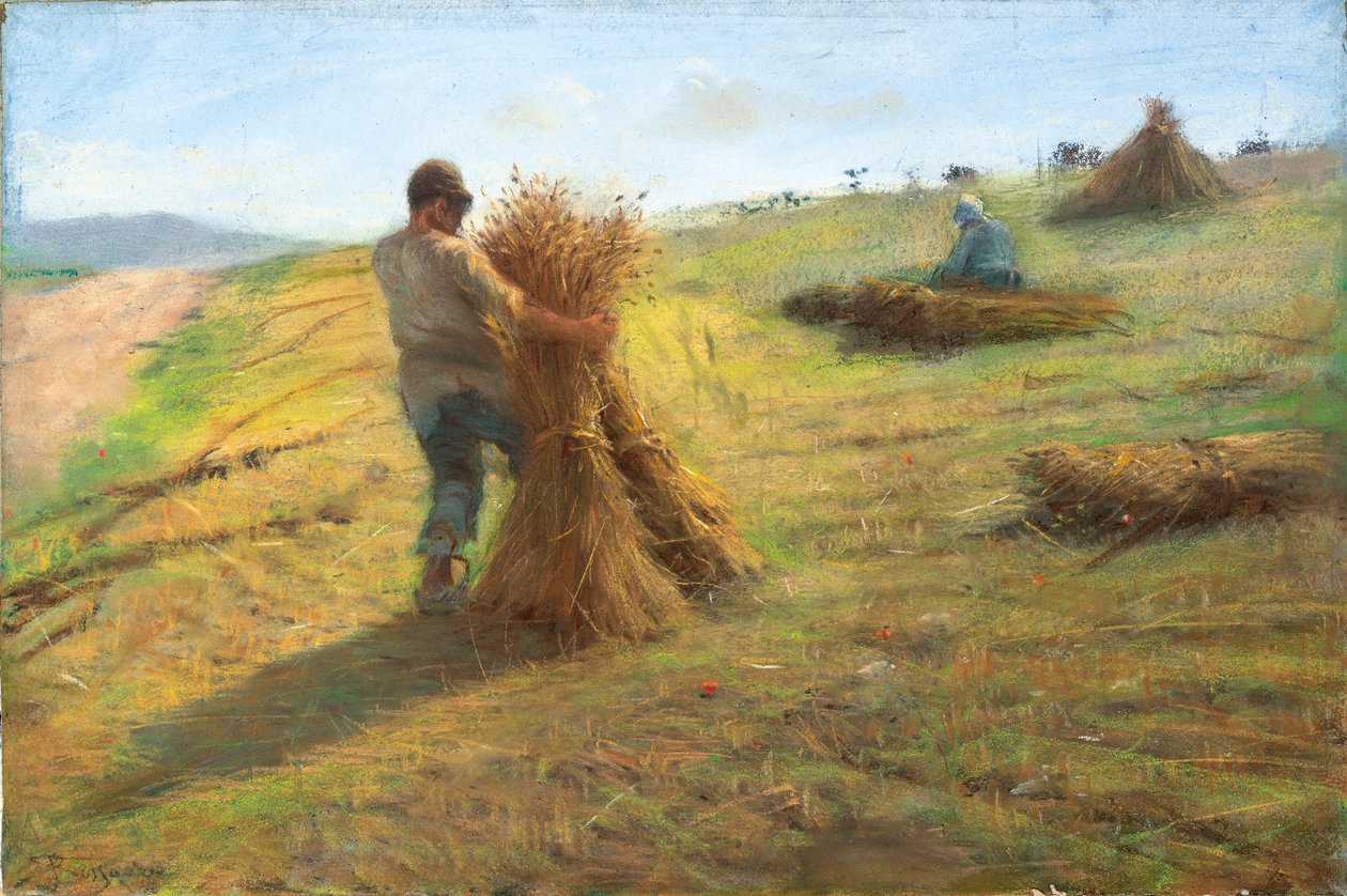 Getreideernte von Federigo Rossano