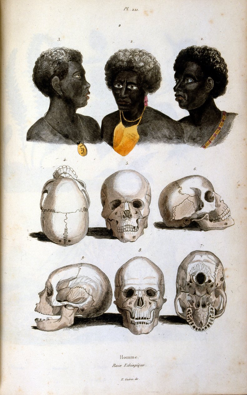 Anthropologische Illustration der äthiopischen Rasse von Felix-Edouard Guerin