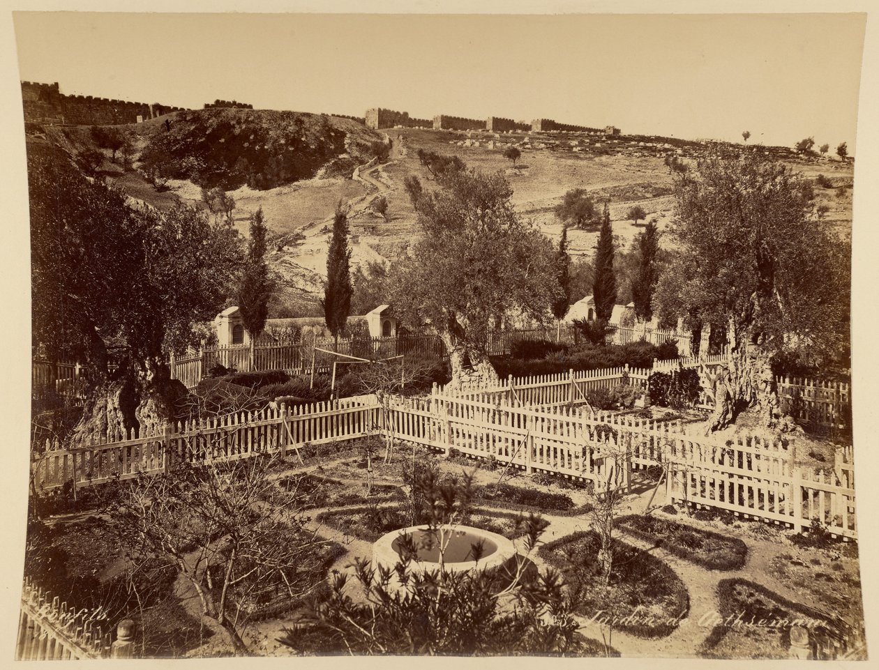 Garten von Gethsemane von Félix Bonfils
