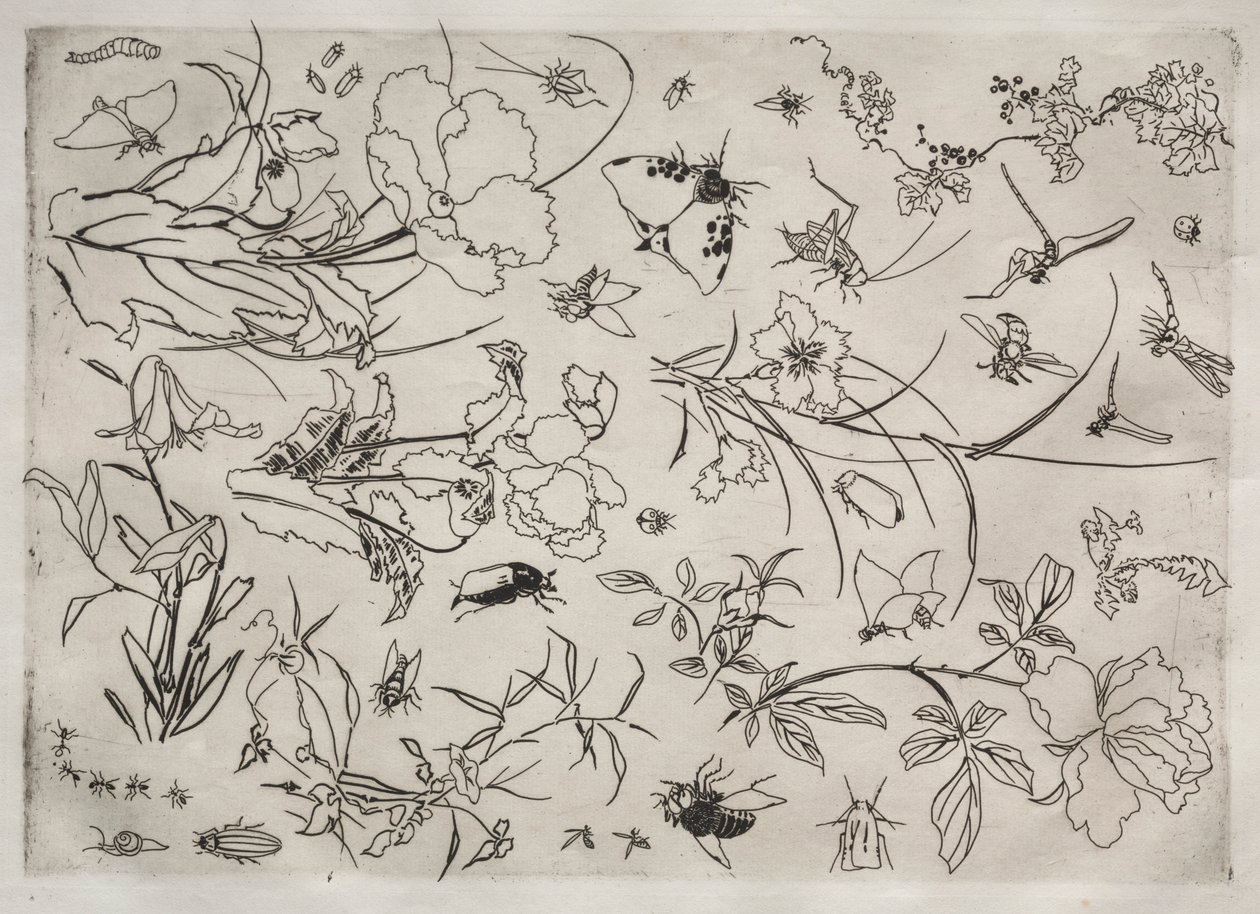Tafelservice Rousseau-Service: Blumen und Insekten Nr. 15, 1866 von Felix Bracquemond