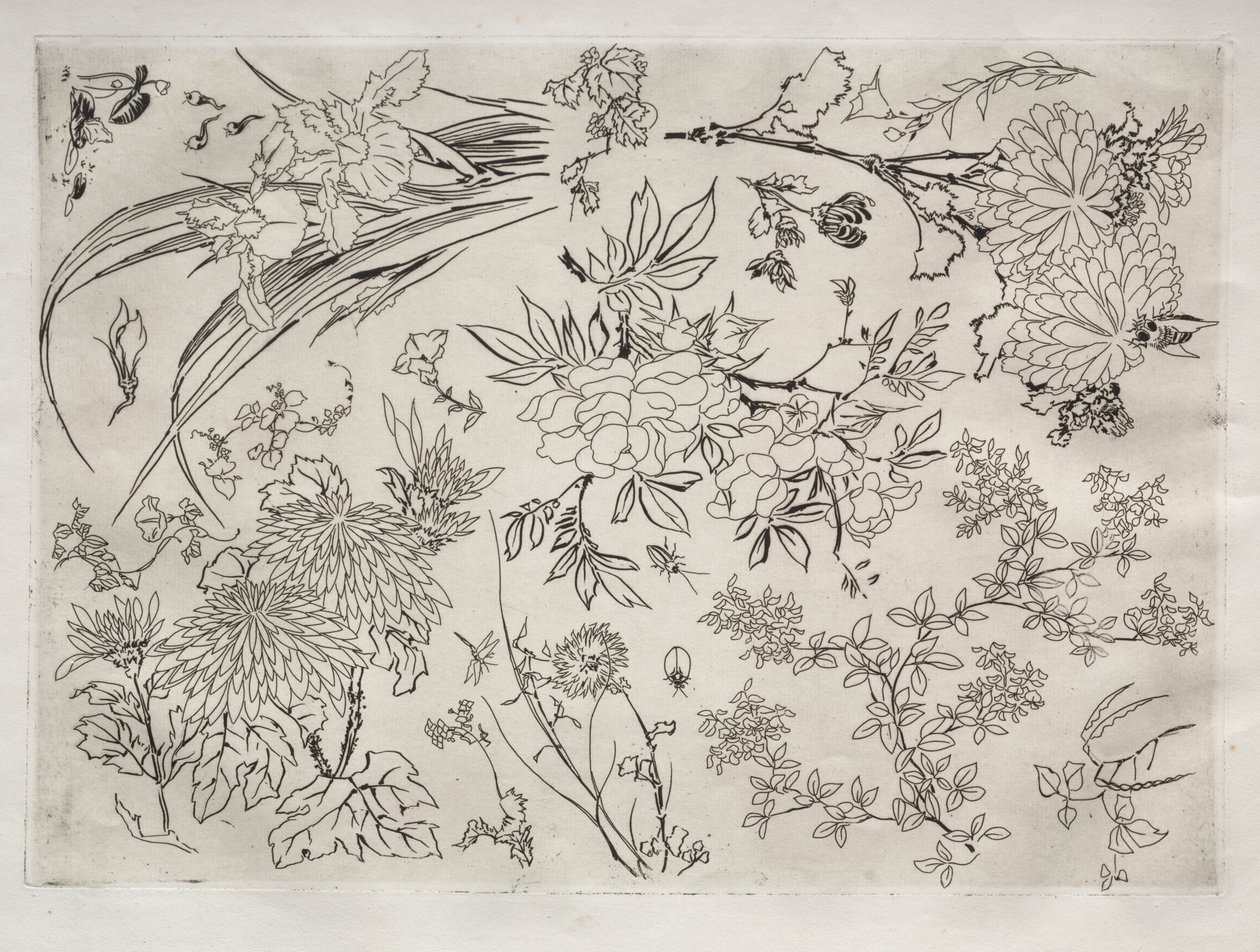 Tafelservice Rousseau-Service: Blumen Nr. 23, 1866 von Felix Bracquemond
