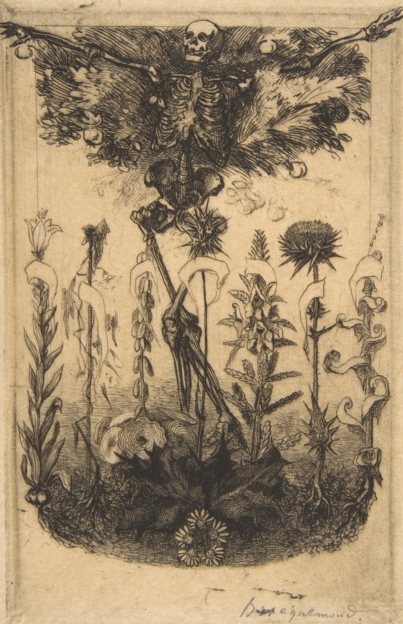 Frontispiz für Les Fleurs du Mal, 1857 von Felix Bracquemond