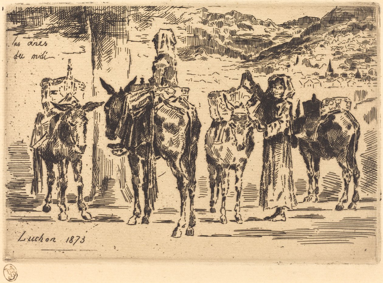 Blätter von Eseln aus dem Süden von Felix Hilaire Buhot
