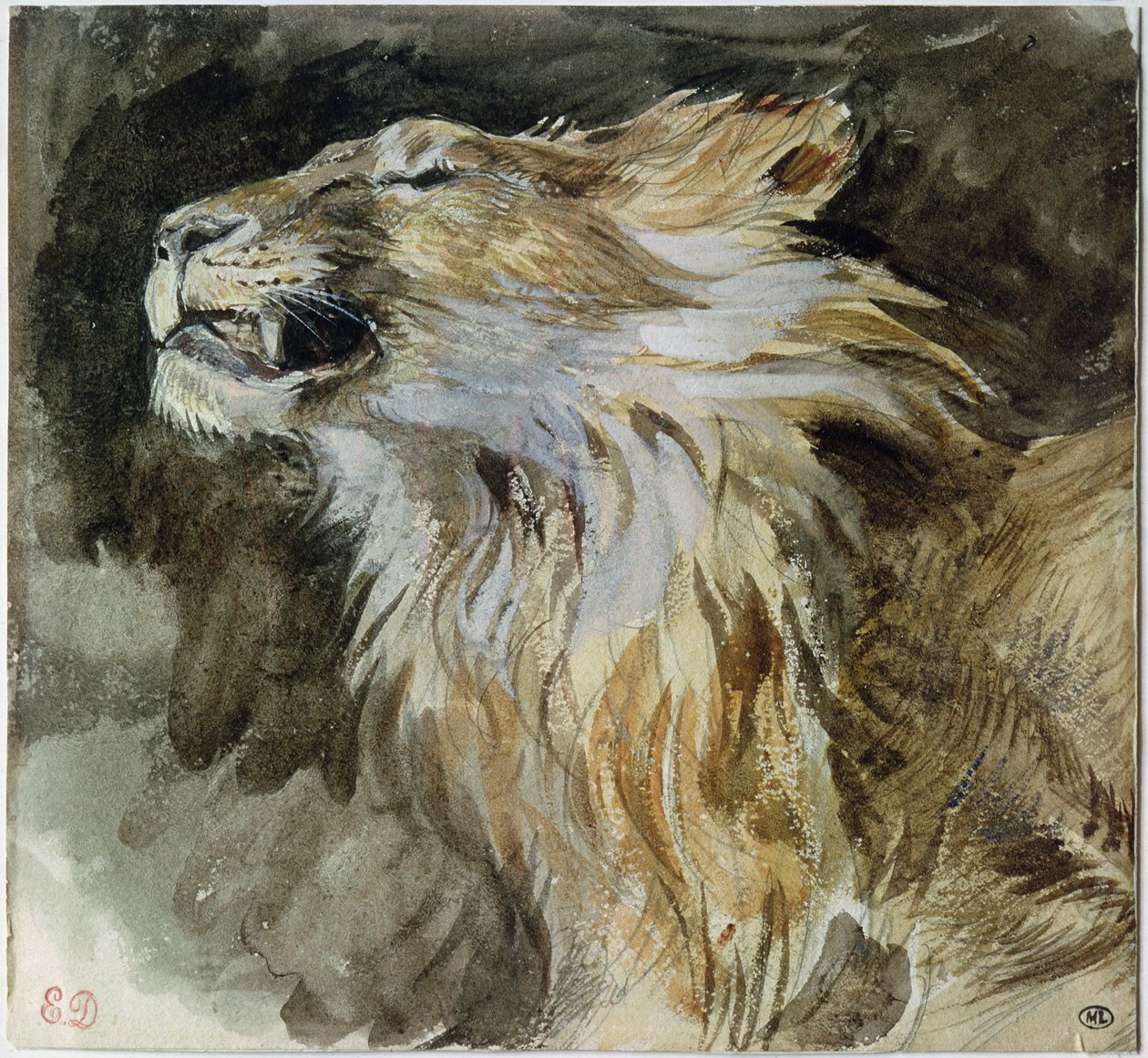 Der Kopf eines Löwen von Ferdinand Victor Eugene Delacroix