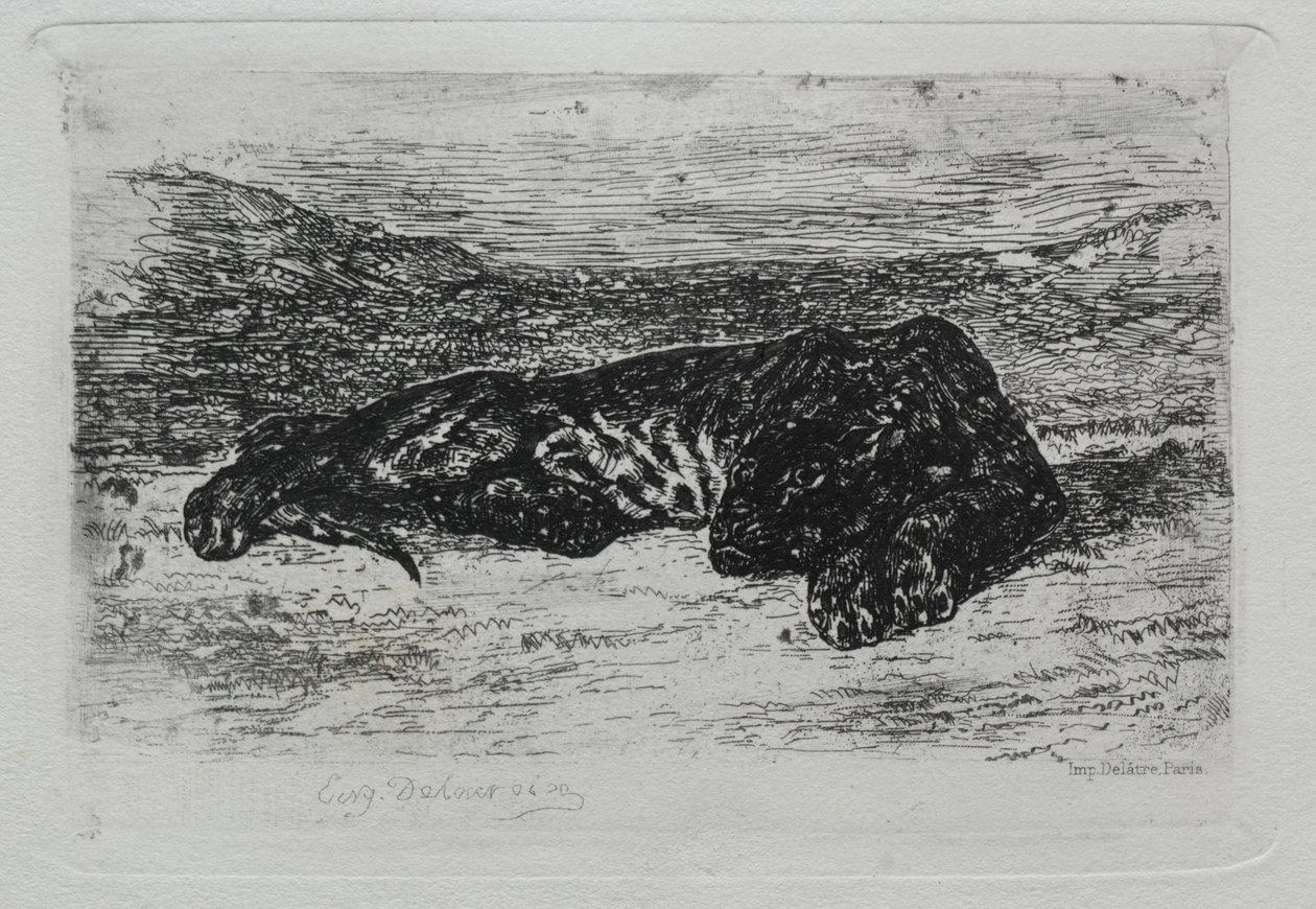 Tiger liegend in der Wüste von Ferdinand Victor Eugene Delacroix