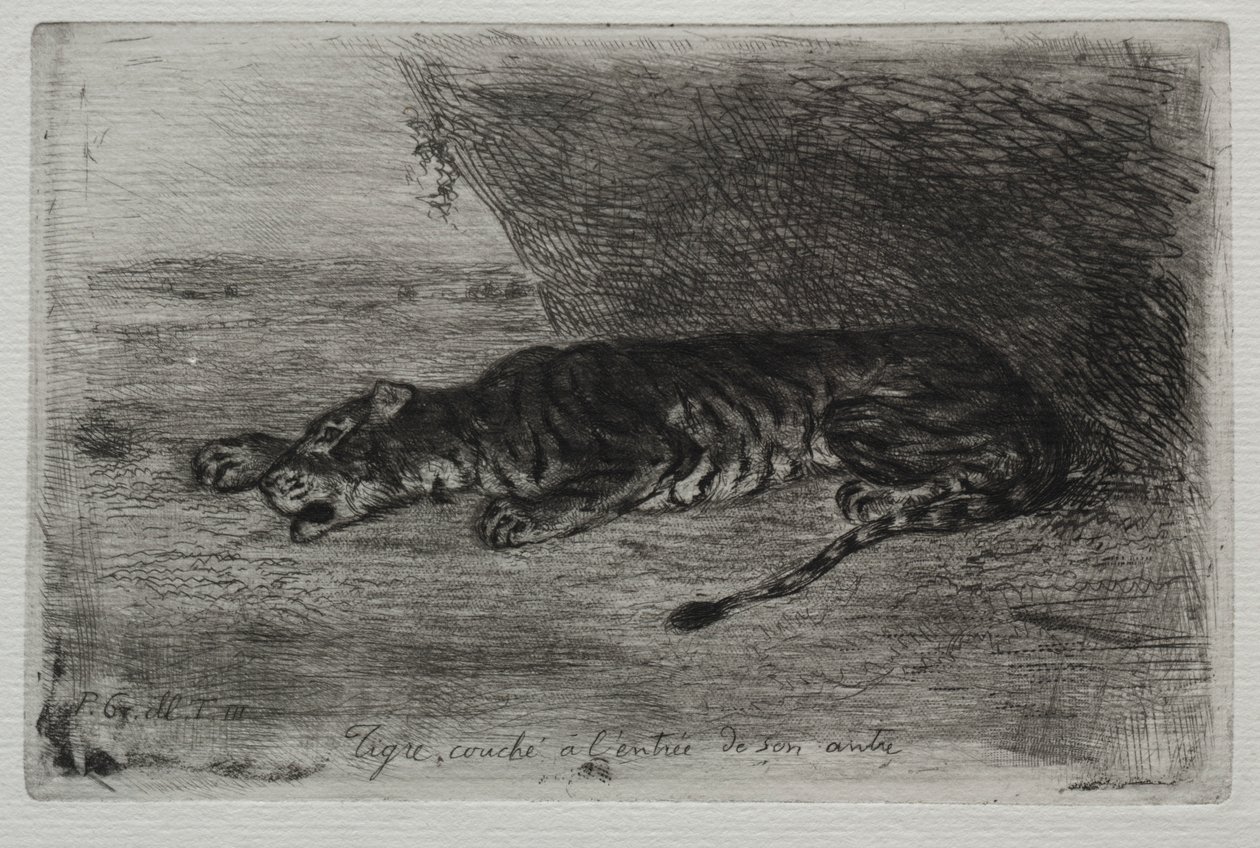Liegender Tiger am Eingang seiner Höhle von Ferdinand Victor Eugene Delacroix
