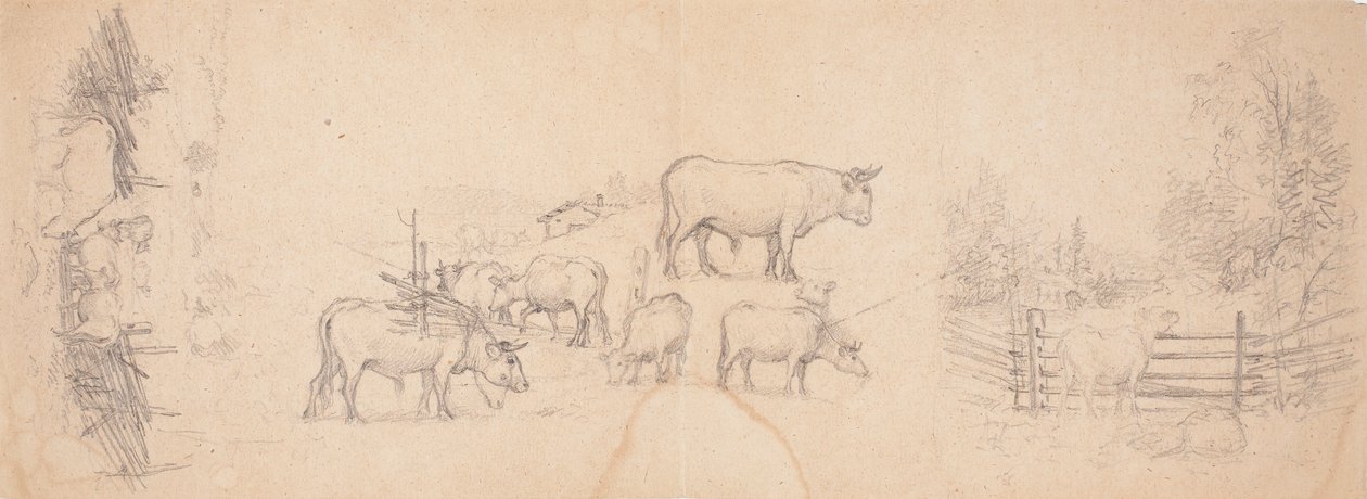 Verschiedene Skizzen von Kühen und Stieren von Ferdinand von Wright