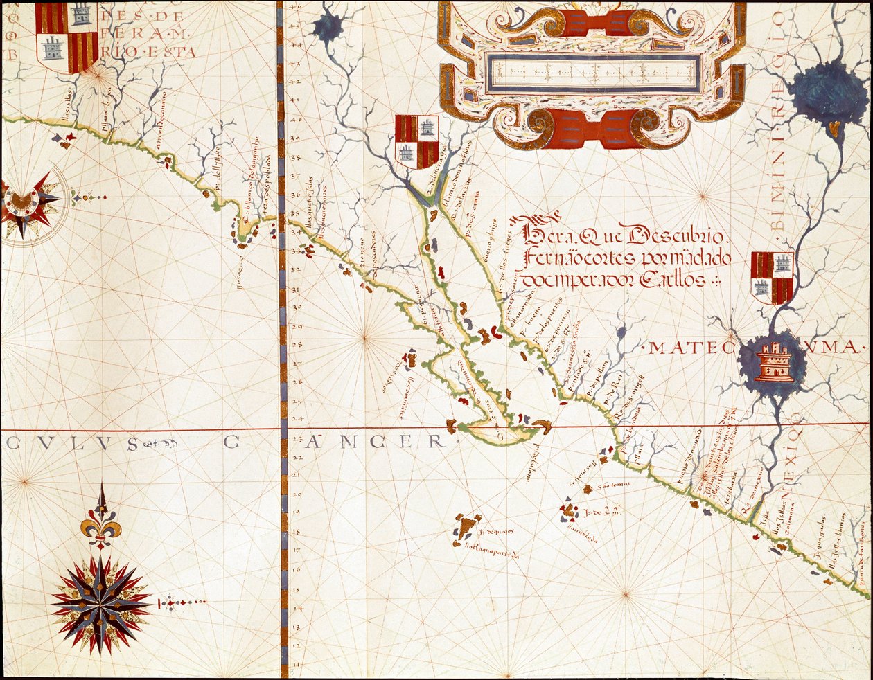 Ansicht der Westküste Mexikos und Südkaliforniens - Karte von Fernao Vaz Dourado