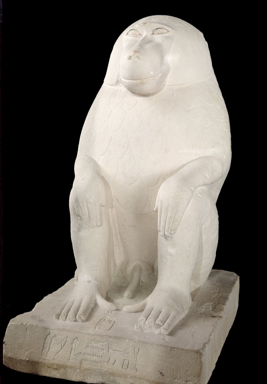 Pavian, Mittleres Reich, möglicherweise 7. Dynastie (Kalkstein) von First Intermediate Period Egyptian