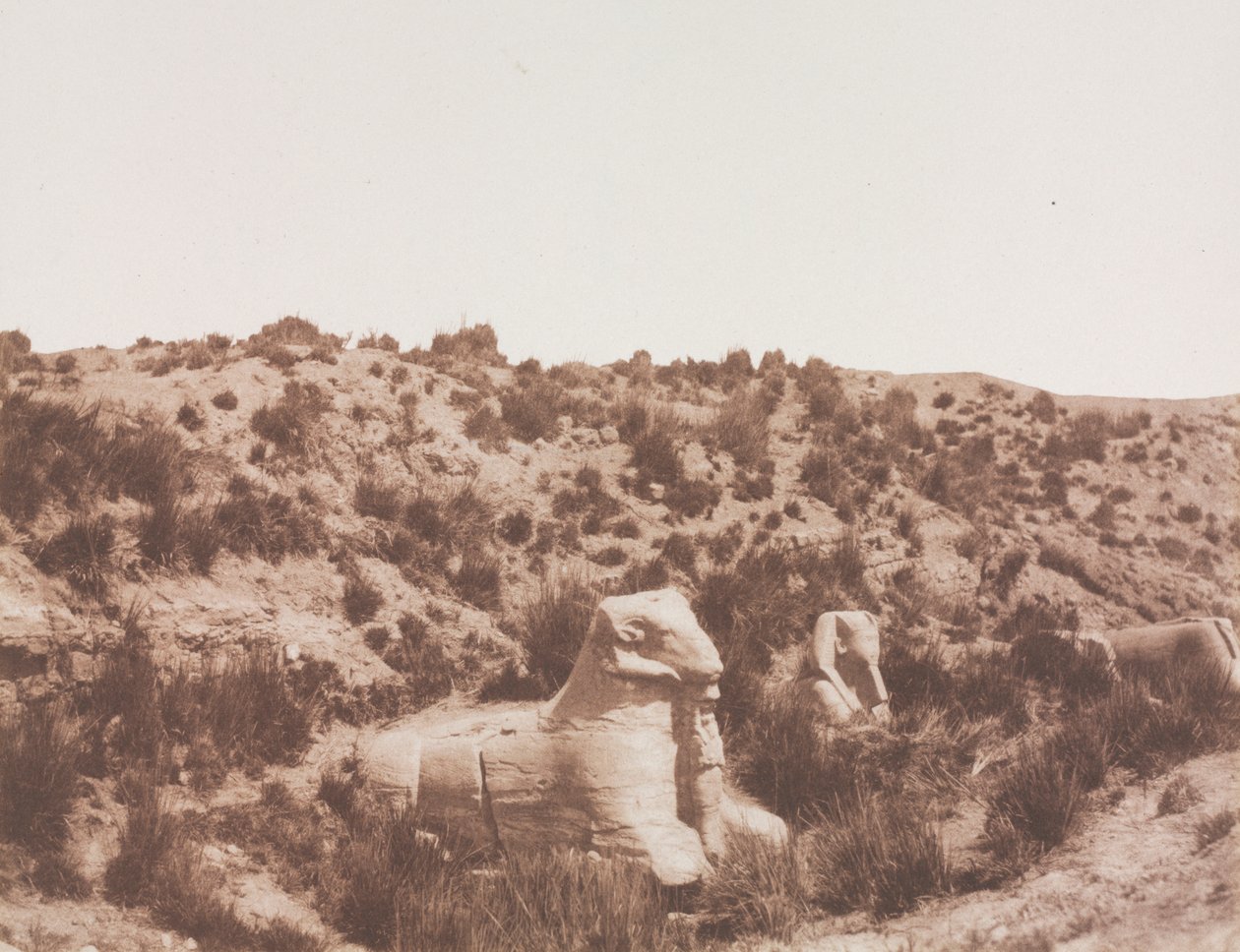 Sphinxe mit Menschenkopf und mit Widderkopf bei Punkt Y. Karnak (Theben) von Félix Teynard
