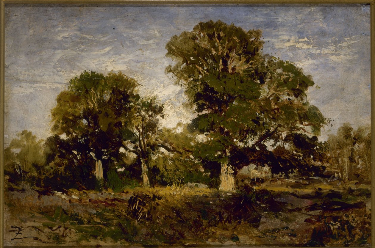 Die Eichen, zwischen 1850 und 1860 von Félix Ziem