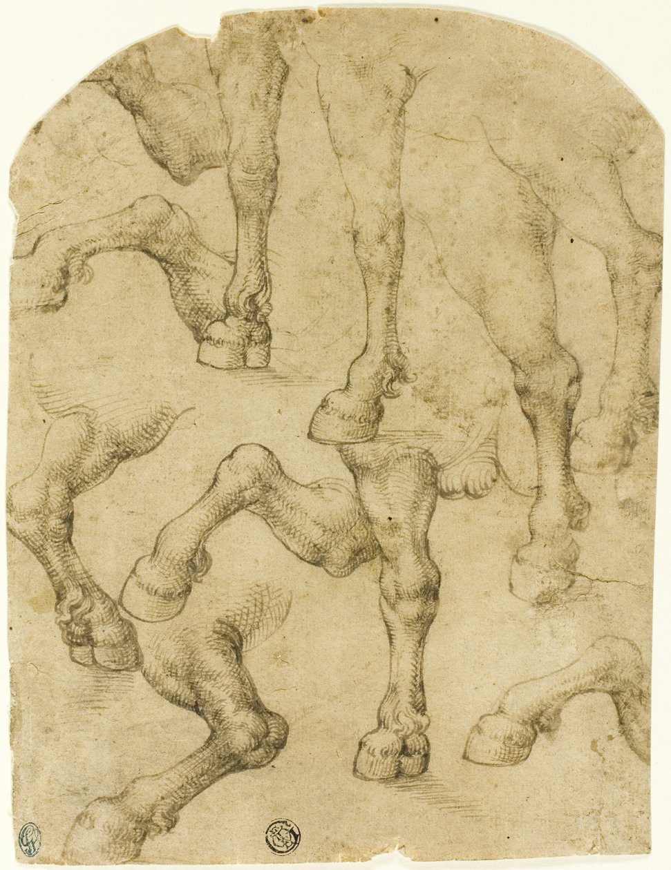 Skizzen von Pferde- (oder Dromedar-) Beinen (recto); Säulen (verso) von Follower of Leonardo da Vinci