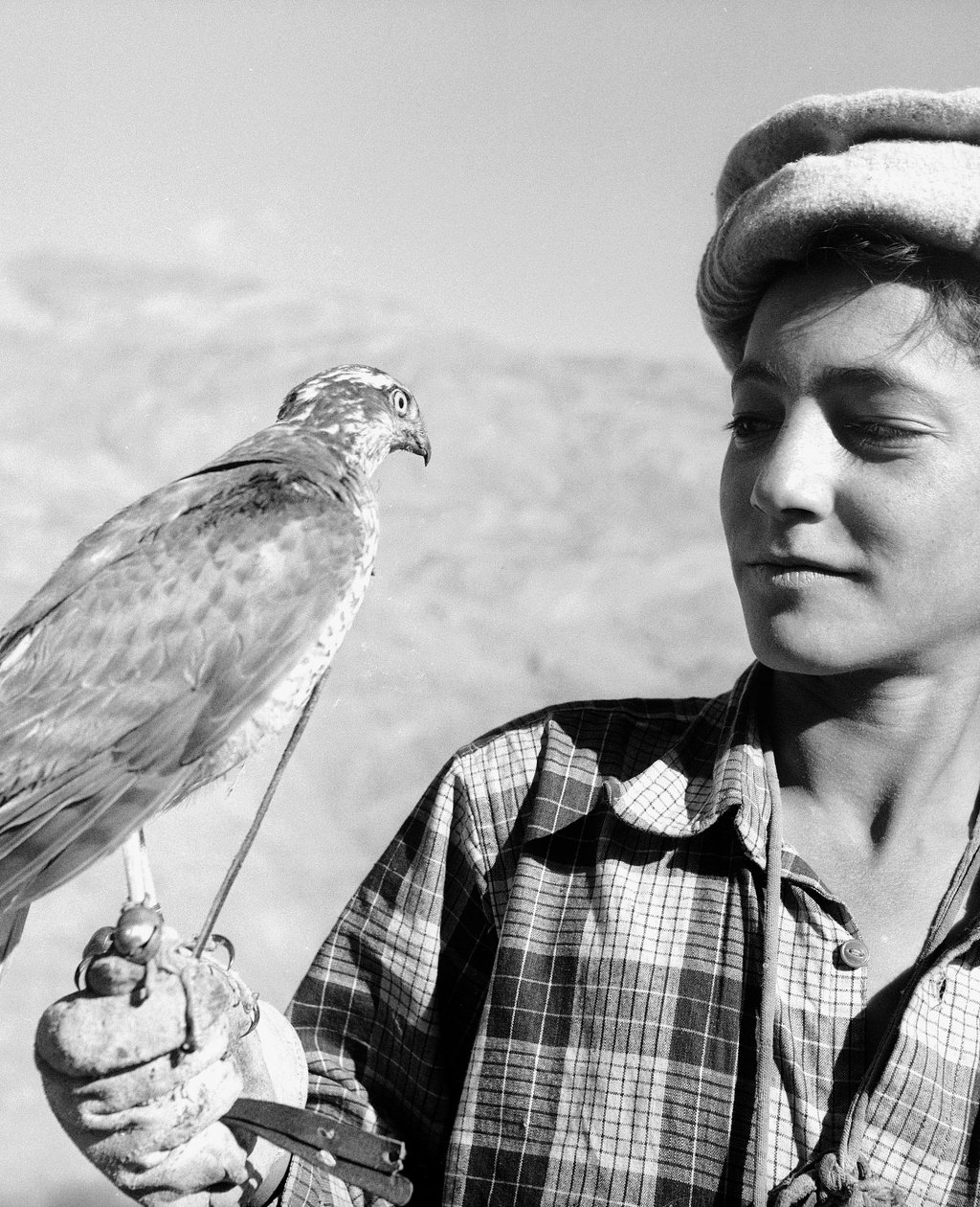 Junger Falkner von Chitral im Hindukusch, einem Gebirge in Zentralasien von Fosco Maraini
