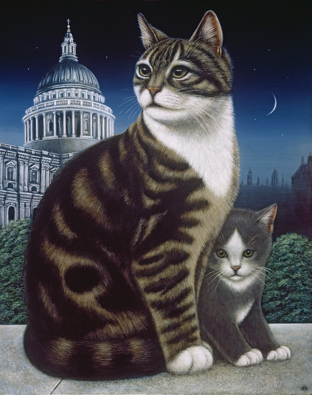 Faith, die St. Pauls Katze von Frances Broomfield