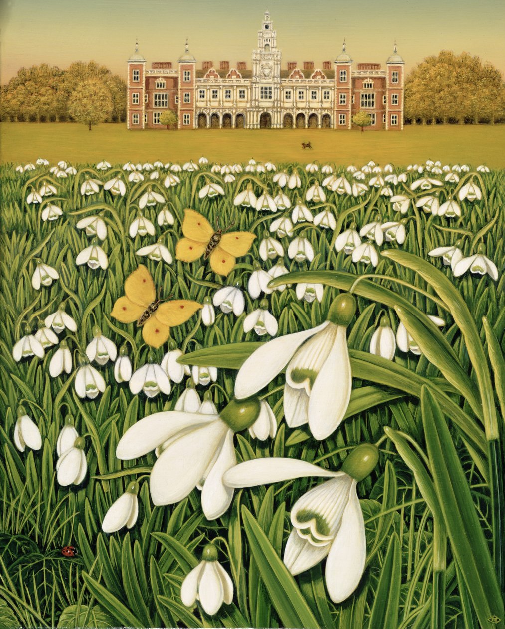 Schneeglöckchentag, Hatfield House, 1999 von Frances Broomfield
