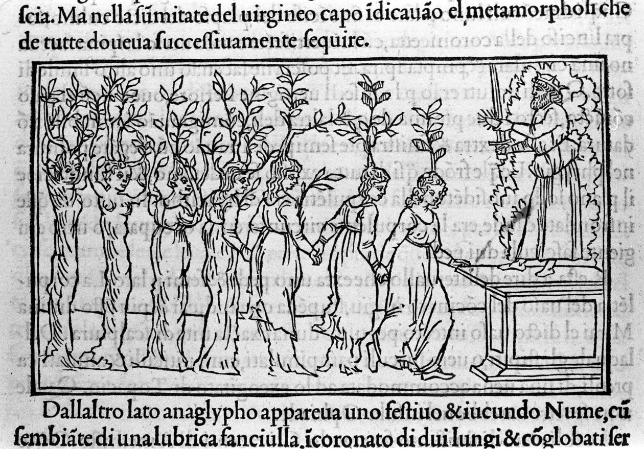 Gravur in „Hypnerotomachia Polyphili“ (der Traum von Poliphilo) von Dominikanermönch Francesco Colonna, Venedig von Francesco Colonna
