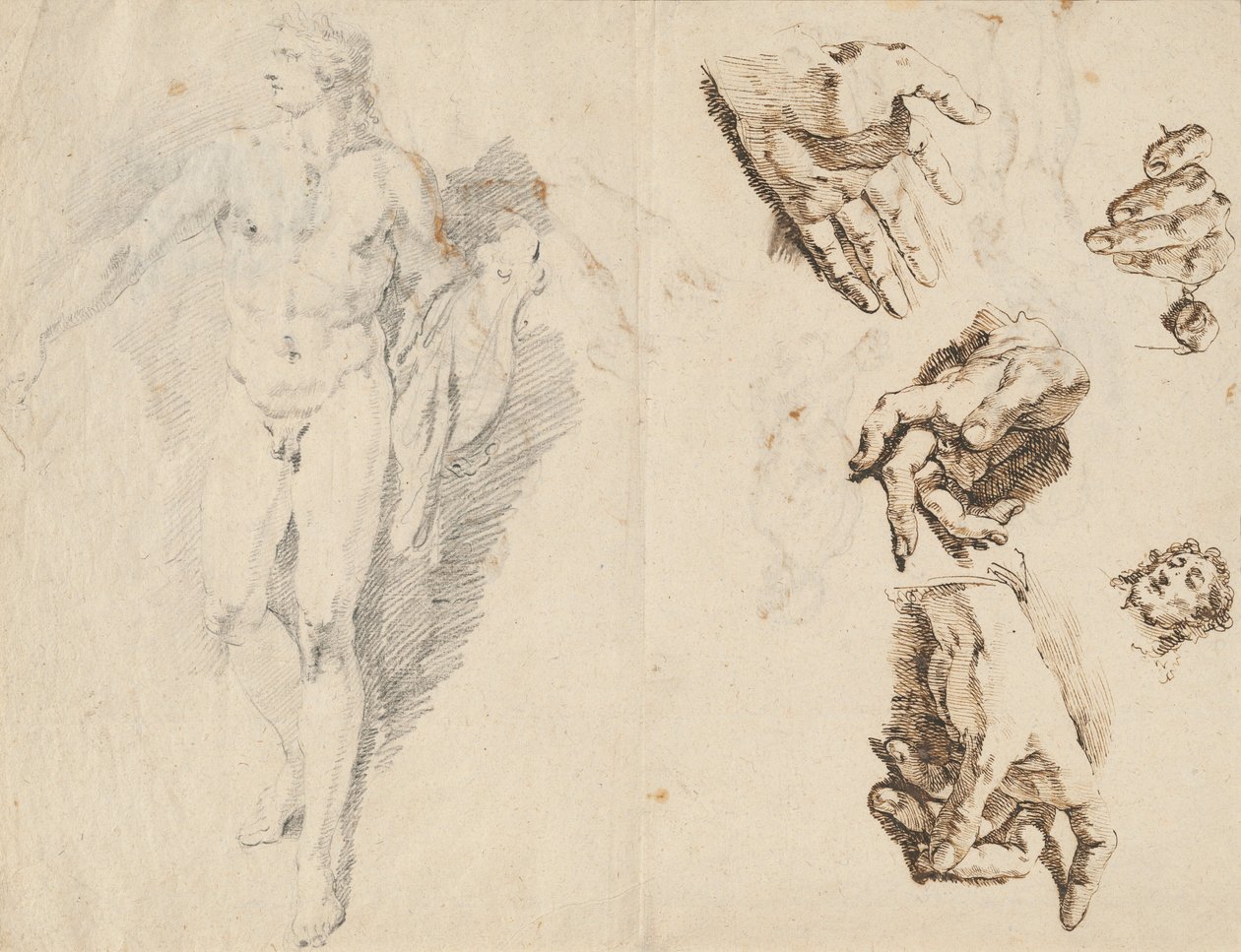 Apollo und Studien der eigenen Hand des Künstlers [recto] von Francesco Fontebasso