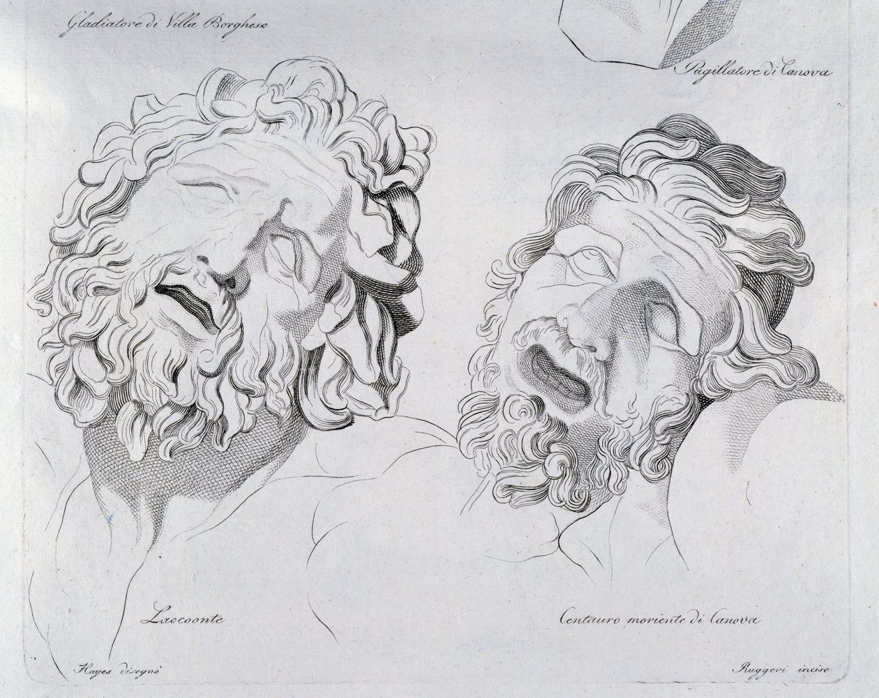 Köpfe von Laokoon und sterbendem Zentaur von Canova von Francesco Hayez