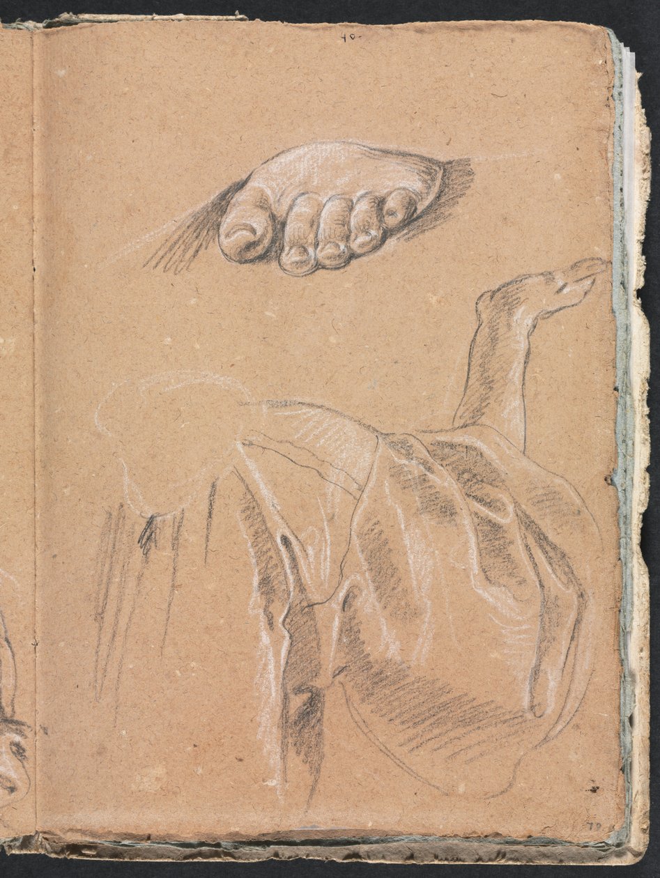 Verona-Skizzenbuch: Studie eines linken Fußes und Draperiestudie mit rechtem Arm, Seite 79, 1760 von Francesco Lorenzi