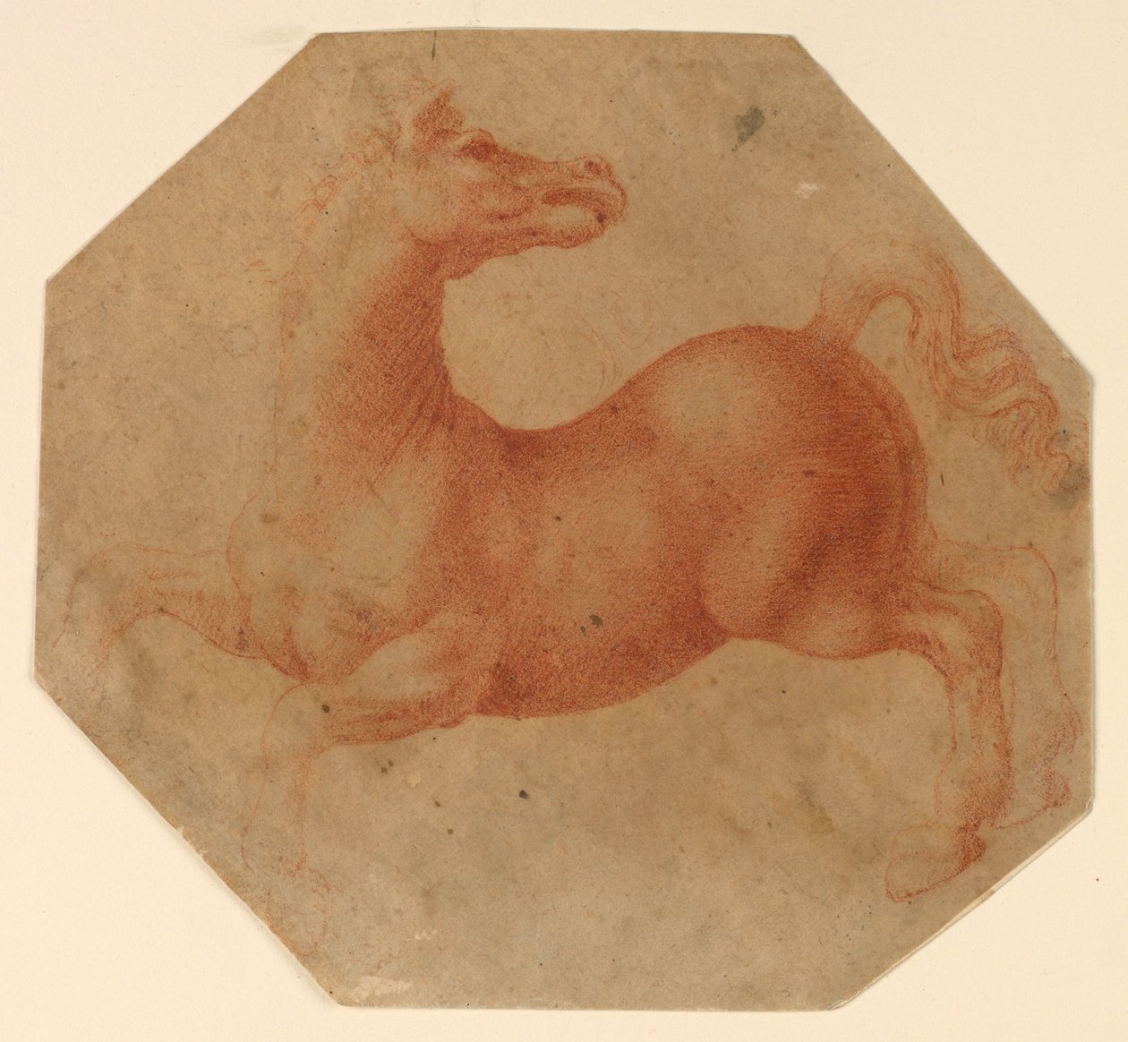 Studie eines sich aufbäumenden Pferdes nach Leonardo da Vinci von Francesco Melzi