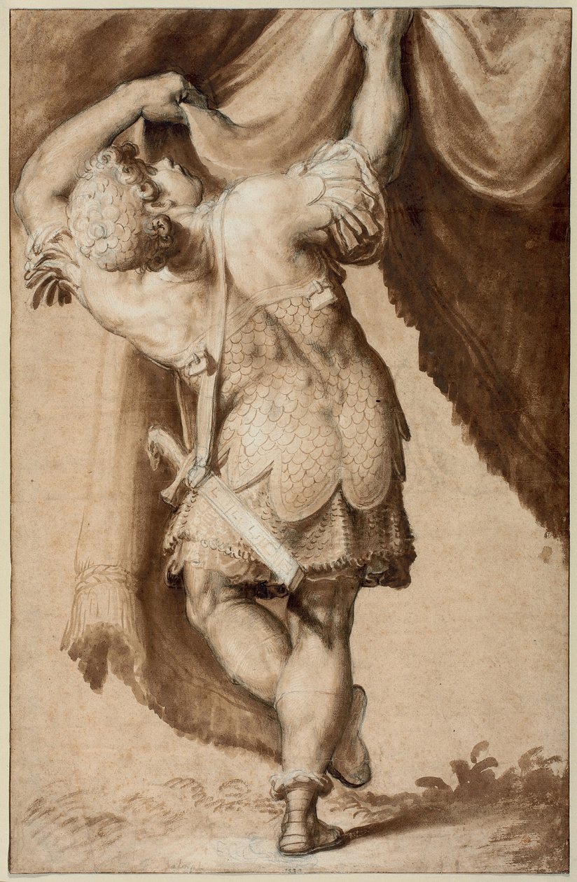 Junger Krieger, von hinten gesehen, hebt einen Vorhang von Francesco Salviati