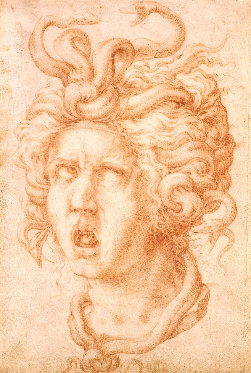 Medusa von Francesco de Rossi Salviati Cecchino