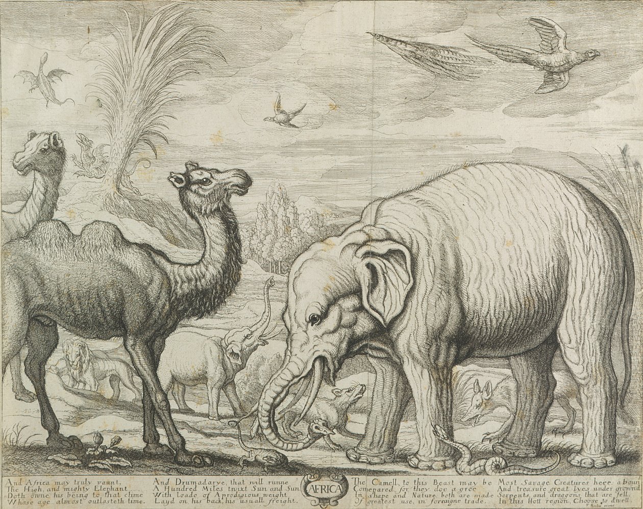 Afrika, 1672 von Francis Barlow