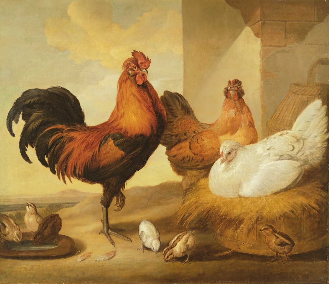 Haushahn, Hennen und Küken, 1655 von Francis Barlow
