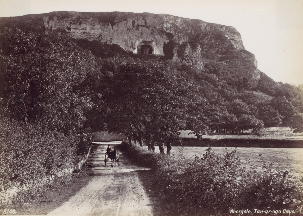 Abergele, Tan-yr-ogo-Höhle, 1870er Jahre von Francis Bedford