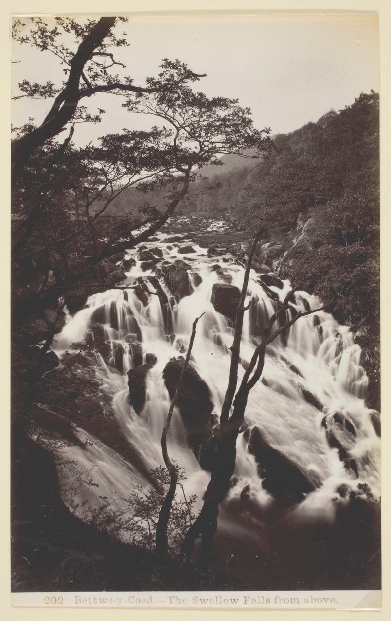 Bettws-y-Coed, Die Schwalbenfälle von oben, 1860-94 von Francis Bedford