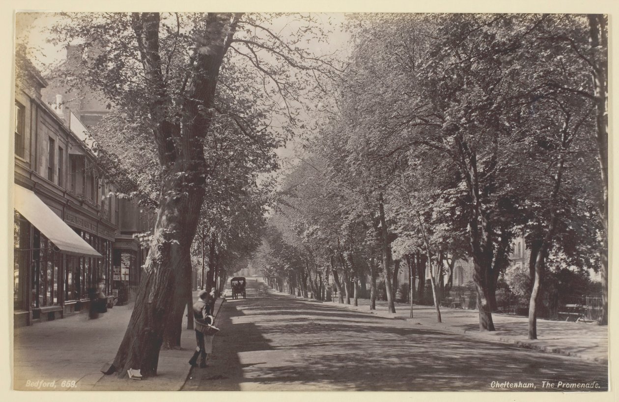 Cheltenham, die Promenade, 1860-94 von Francis Bedford