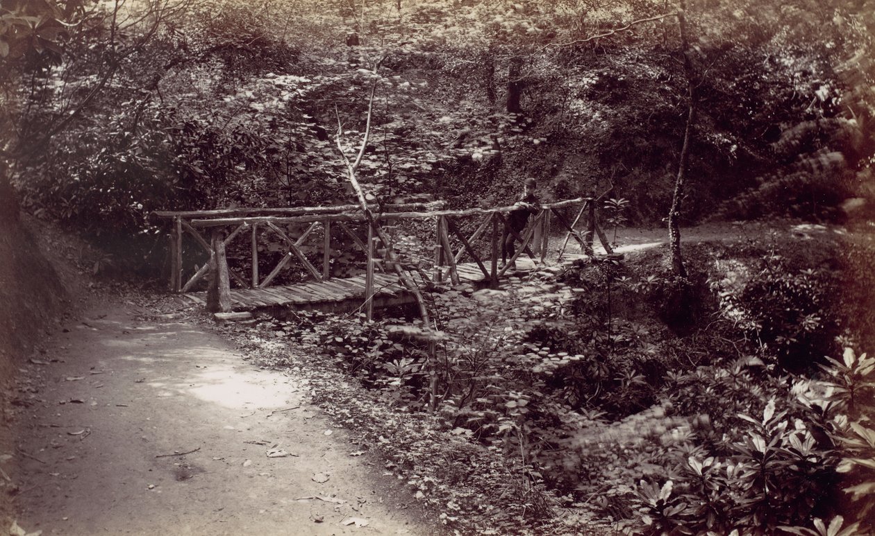 Colwyn Bay. Rustikale Brücke im Wald, 1870er Jahre von Francis Bedford