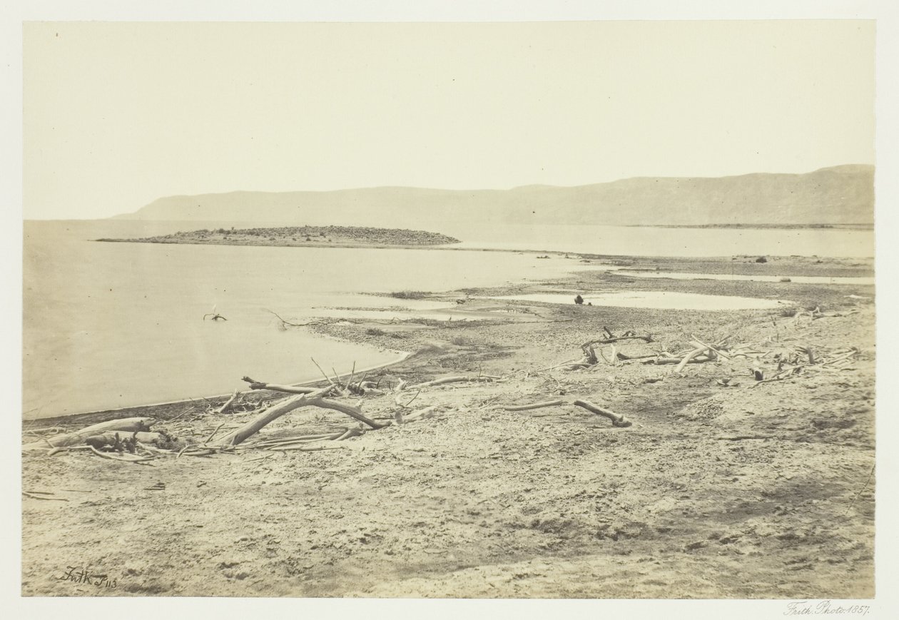 Die Nordküste des Toten Meeres von Francis Frith